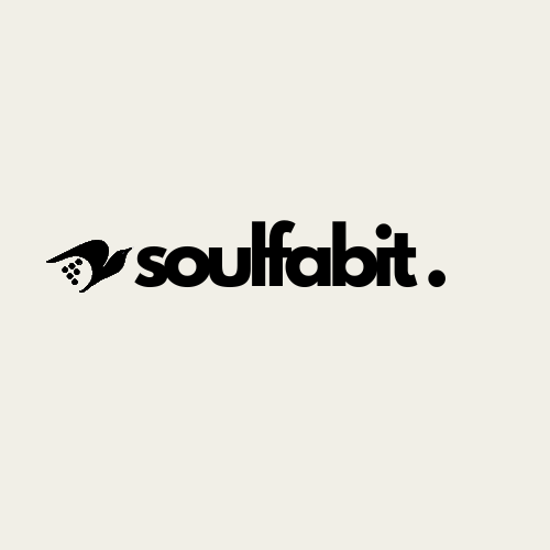 soulfabit.com logo