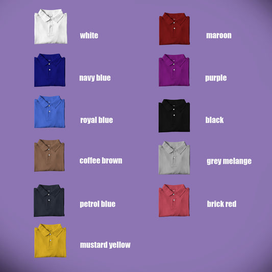 Polo T Shirt combo (Pack of 2)
