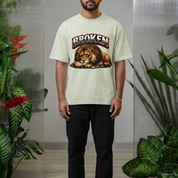 Broken Oversized Tshirt